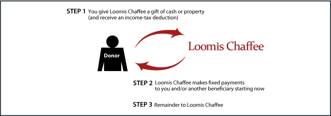 Immediate-Payment Charitable Gift Annuity Thumbnail